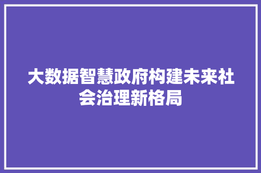 大数据智慧政府构建未来社会治理新格局