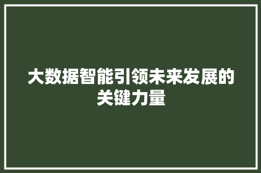 大数据智能引领未来发展的关键力量 网络技术