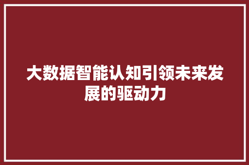 大数据智能认知引领未来发展的驱动力