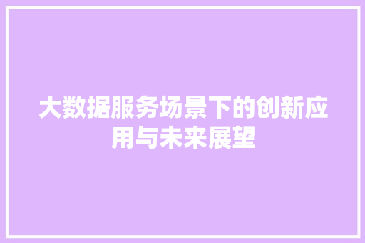大数据服务场景下的创新应用与未来展望
