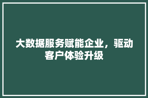大数据服务赋能企业，驱动客户体验升级
