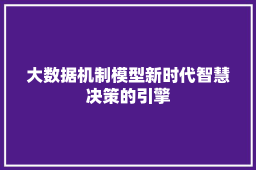 大数据机制模型新时代智慧决策的引擎 编程语言