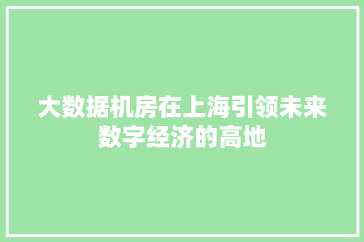 大数据机房在上海引领未来数字经济的高地