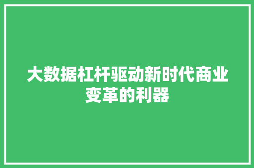 大数据杠杆驱动新时代商业变革的利器
