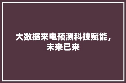 大数据来电预测科技赋能，未来已来