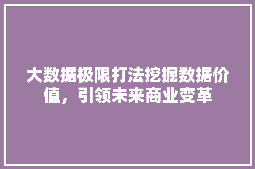 大数据极限打法挖掘数据价值，引领未来商业变革