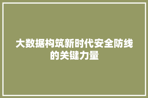 大数据构筑新时代安全防线的关键力量