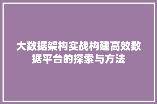 大数据架构实战构建高效数据平台的探索与方法 电脑基础