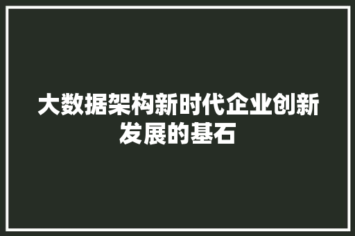 大数据架构新时代企业创新发展的基石