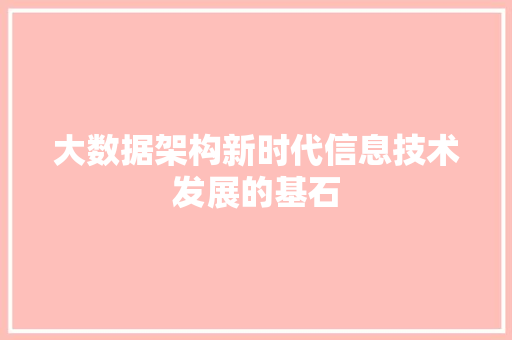 大数据架构新时代信息技术发展的基石