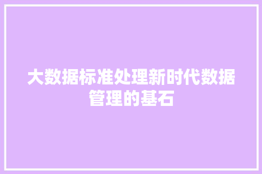 大数据标准处理新时代数据管理的基石