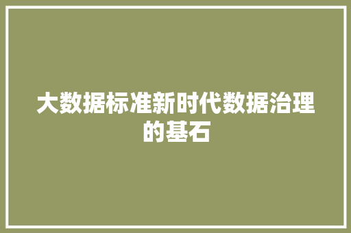 大数据标准新时代数据治理的基石