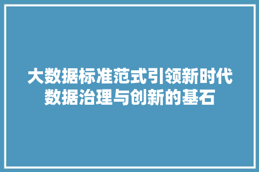 大数据标准范式引领新时代数据治理与创新的基石