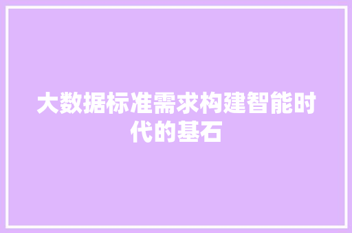 大数据标准需求构建智能时代的基石
