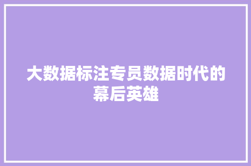 大数据标注专员数据时代的幕后英雄 操作系统
