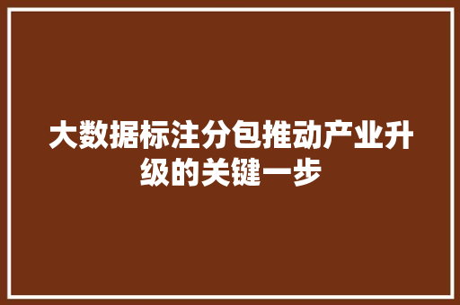 大数据标注分包推动产业升级的关键一步