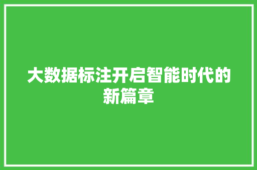 大数据标注开启智能时代的新篇章 编程语言