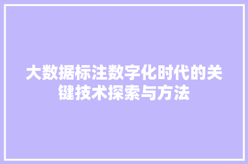 大数据标注数字化时代的关键技术探索与方法 电脑基础