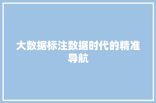 大数据标注数据时代的精准导航