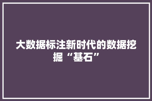 大数据标注新时代的数据挖掘“基石”