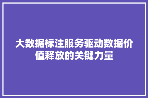 大数据标注服务驱动数据价值释放的关键力量