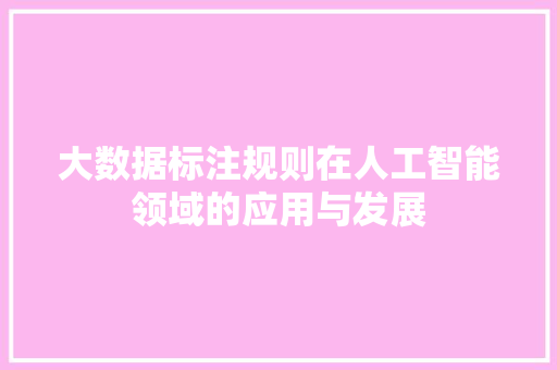 大数据标注规则在人工智能领域的应用与发展