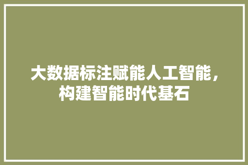 大数据标注赋能人工智能，构建智能时代基石
