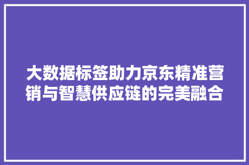 大数据标签助力京东精准营销与智慧供应链的完美融合