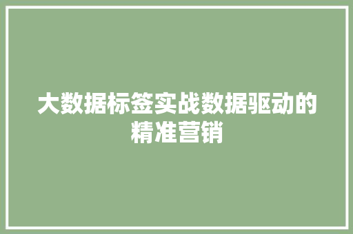 大数据标签实战数据驱动的精准营销
