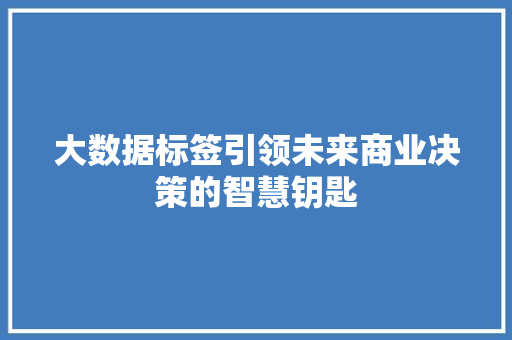 大数据标签引领未来商业决策的智慧钥匙