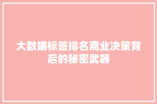 大数据标签排名商业决策背后的秘密武器