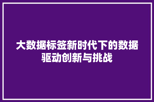 大数据标签新时代下的数据驱动创新与挑战