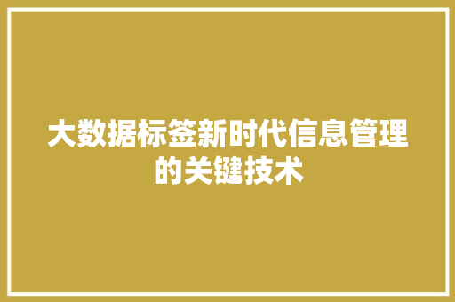 大数据标签新时代信息管理的关键技术