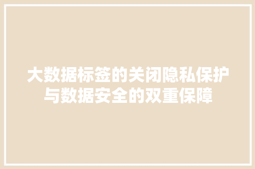 大数据标签的关闭隐私保护与数据安全的双重保障