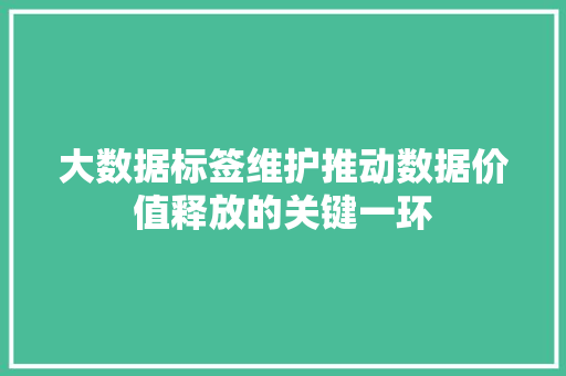 大数据标签维护推动数据价值释放的关键一环