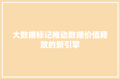 大数据标记推动数据价值释放的新引擎