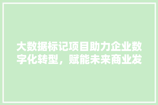 大数据标记项目助力企业数字化转型，赋能未来商业发展