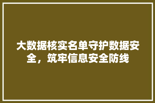 大数据核实名单守护数据安全，筑牢信息安全防线
