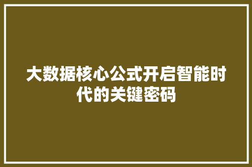 大数据核心公式开启智能时代的关键密码