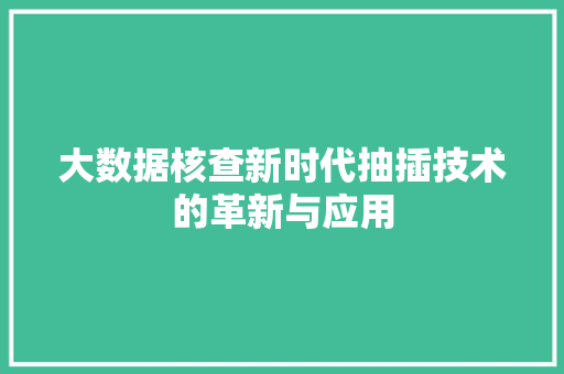 大数据核查新时代抽插技术的革新与应用