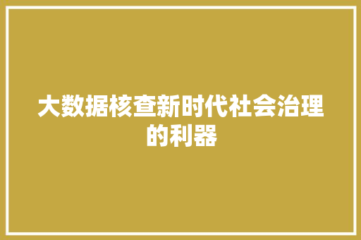 大数据核查新时代社会治理的利器