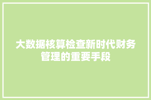 大数据核算检查新时代财务管理的重要手段
