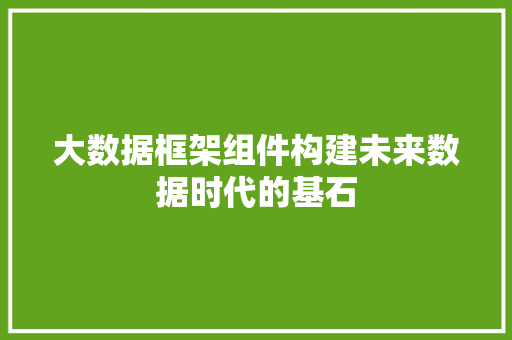 大数据框架组件构建未来数据时代的基石