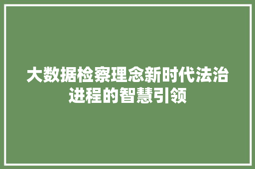 大数据检察理念新时代法治进程的智慧引领