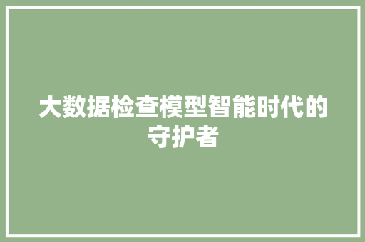 大数据检查模型智能时代的守护者