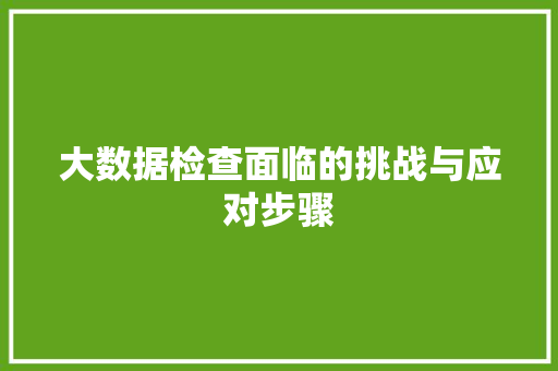 大数据检查面临的挑战与应对步骤 网络技术