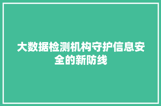 大数据检测机构守护信息安全的新防线
