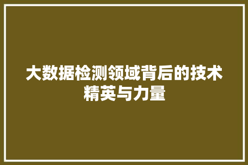 大数据检测领域背后的技术精英与力量 网络技术 大数据检测领域背后的技术精英与力量 网络技术