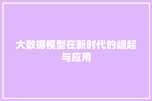 大数据模型在新时代的崛起与应用