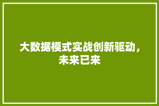 大数据模式实战创新驱动，未来已来